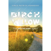 Birch Willow: The Ruthless Root