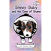 Stewy Baby and the Cone of Shame