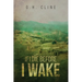 If I Die Before I Wake