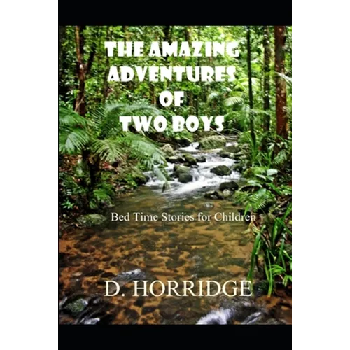 The Amazing Adventures of Two Boys: Bed Time Stories for Children