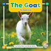 The Goat: The Sound of OA
