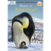 Where Is Antarctica?