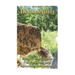 Beekeeping: Step-by-Step Guide For Beginner and Advanced Beekeepers: (Natural Beekeeping, Beekeeping Equipment, Beekeeping For Dummies)