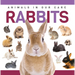 Rabbits