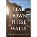 Tear Down These Walls: Following Jesus Into Deeper Unity