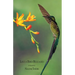 Like a Bird Released