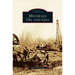 Michigan Oil and Gas