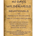 40 Days in the Wilderness Addiction Recovery Devotionals and Bible Studies