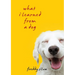 What I Learned From A Dog