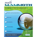 Math Mammoth Grade 7-B Worktext