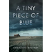A Tiny Piece of Blue