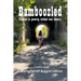 Bamboozled: Trapped in poverty, tricked into slavery
