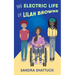 The Electric Life of Lilah Browne