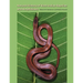 Natural History of West Indian Reptiles and Amphibians