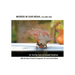 Words In Our Beak, Volume One