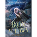 Born at Dawn: An Upper YA Fantasy Adventure Begins