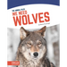 We Need Wolves