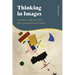 Thinking in Images: Imagistic Cognition and Non-propositional Content