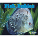 Fish Babies