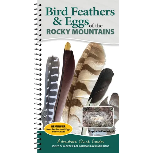 Bird Feathers & Eggs of the Rocky Mountains: Identify 40 Species of Common Backyard Birds