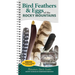 Bird Feathers & Eggs of the Rocky Mountains: Identify 40 Species of Common Backyard Birds