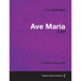 Ave Maria D.839 - For Violin and Piano (1825)
