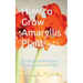 How to Grow Amaryllis Plant: Knowing the Benefits of Growing Amaryllis Plant