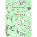 Essential Animals