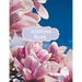 Address Book