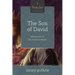 The Son of David: Seeing Jesus in the Historical Books (a 10-Week Bible Study) Volume 3