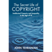 The Secret Life of Copyright: Intellectual Property and Inequality in the Age of AI