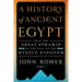 A History of Ancient Egypt Volume 2: From the Great Pyramid to the Fall of the Middle Kingdom