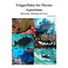 Triggerfishes for Marine Aquariums: Diversity, Selection & Care