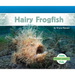 Hairy Frogfish