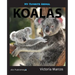 My Favorite Animal: Koalas