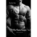 The Flame Keeper: Healer Series Book Five