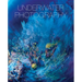 Underwater Photography: By Vincenzo Paolillo