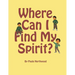 Where Can I Find My Spirit?