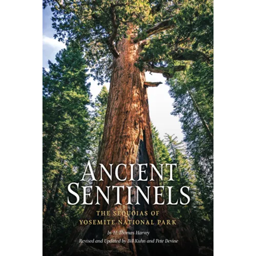 Ancient Sentinels: The Sequoias of Yosemite National Park