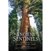 Ancient Sentinels: The Sequoias of Yosemite National Park