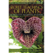 The Secret Teachings of Plants: The Intelligence of the Heart in the Direct Perception of Nature