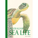Australian Sea Life