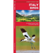 Italy Birds: A Folding Pocket Guide to Familiar Species