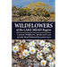 Wildflowers of the Lake Mead Region
