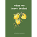 what we leave behind