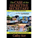 The Case of the Secretive Secretary: A WISE Enquiries Agency cozy Welsh murder mystery