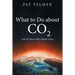 What to Do About Co2: And All Those Other Ghastly Gases