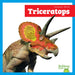 Triceratops