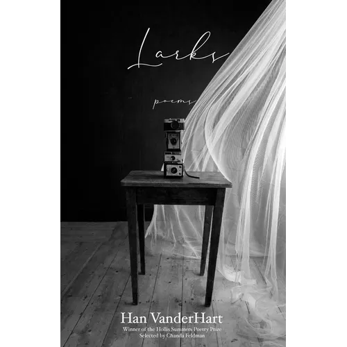 Larks: Poems