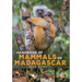 Handbook of Mammals of Madagascar
